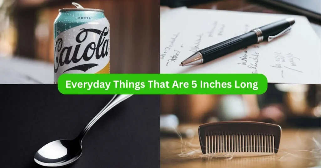 Everyday Things That Are 5 Inches Long